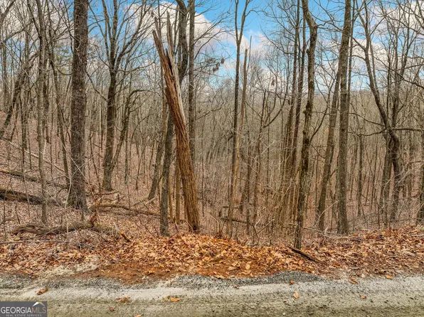 6 Mount Mincie Rd, Murrayville, GA 30564