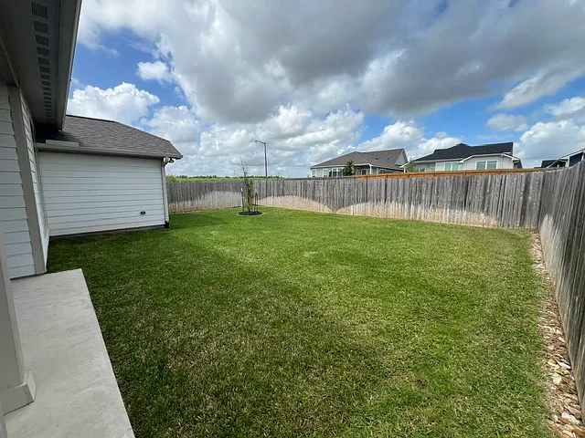 Back Yard