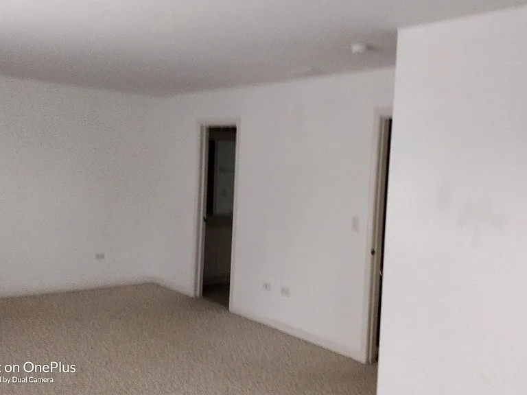 3118 Alyssa St — Photo 9