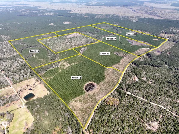 County Road 4415, Spurger, TX 77660