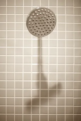 Rented by Artifact.co | media 36