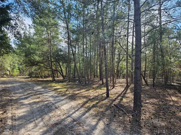 11391 SE 4th St #5, Williston, FL 32696