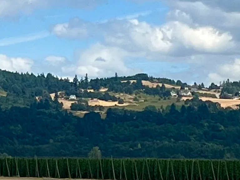 Surrounding neighborhood views
