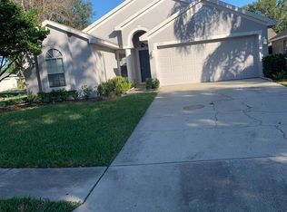 4533 Perdita Ln, Lutz, FL 33558