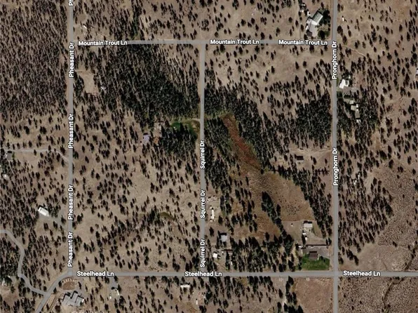 0 Pheasant Dr Lot 14, Alturas, CA 96101