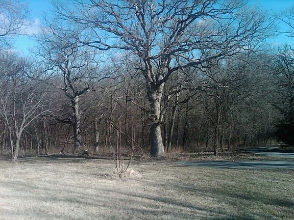 2 Acres of Trees & Creek