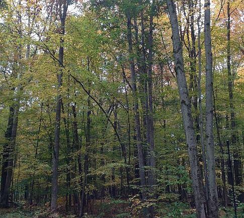 5th image of 9920 Sixteen Mile Rd NE