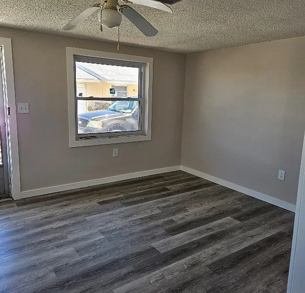 Living area, lots of natural light