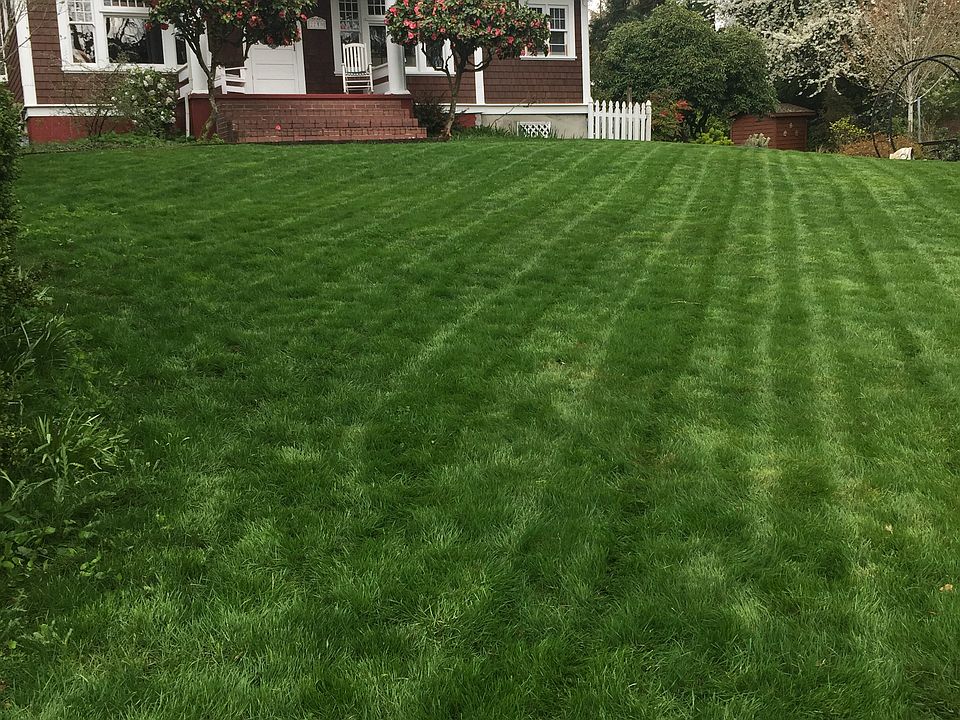 2nd image of 2719 SW Troy St