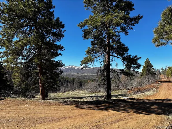 357 Brophy Drive LOT 357, Fort Garland, CO 81133