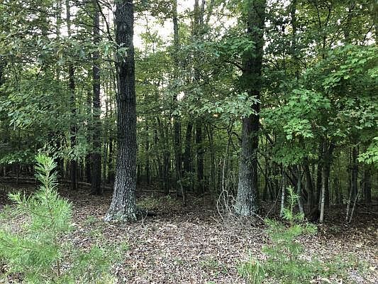 1st image of 0 Chestnut Forest Dr
