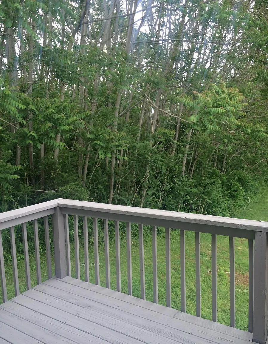 1 bed, $975 — Photo 3
