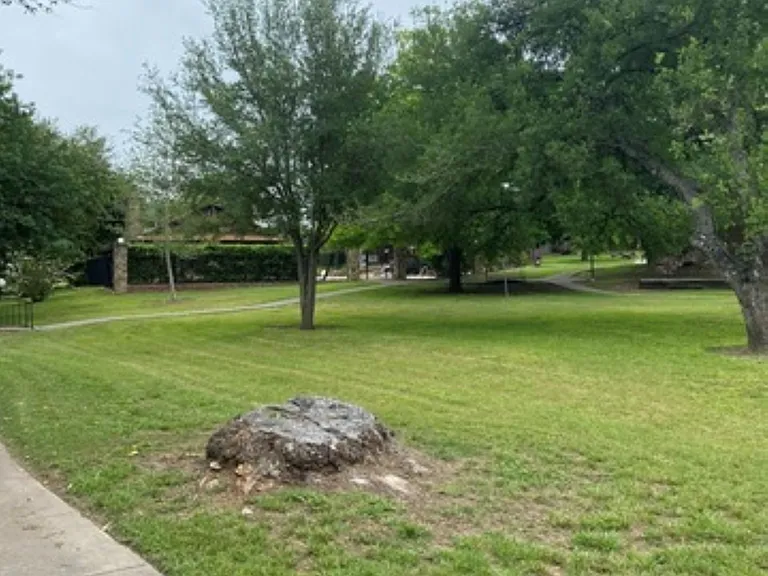 5010 Arbor Ridge Dr — Photo 23