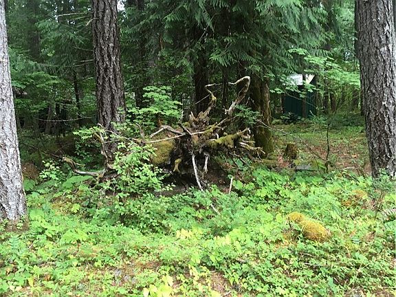 4th image of 41 Evergreen Ct