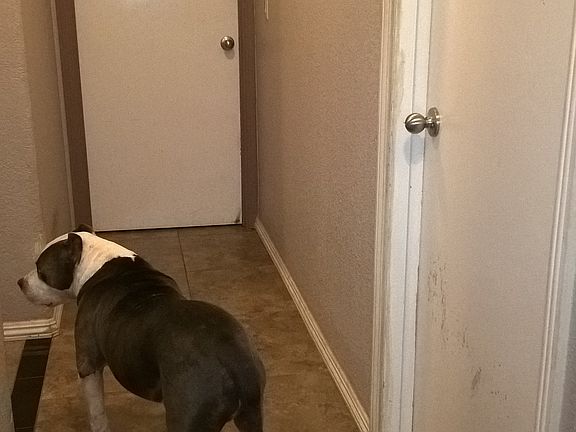 3rd image of 5041 Emerald Brook Way