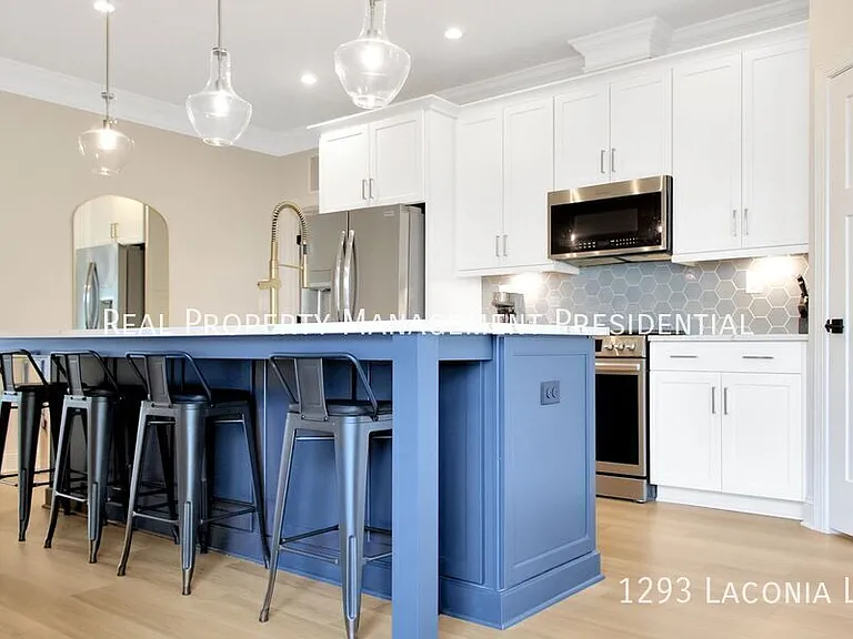 1293 Laconia Ln — Photo 8