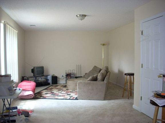Large Finished Basement
