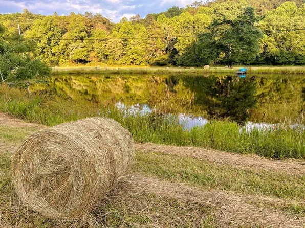 138 Wolf Creek Est, Mineral Bluff, GA 30559