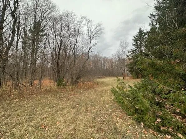 8184 Red Pine Dr NE, Mancelona, MI 49659