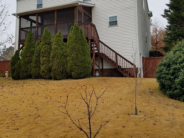 1503 Ashley Downs Dr — Photo 19
