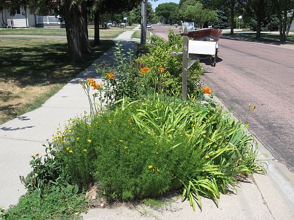 Mailbox Garden