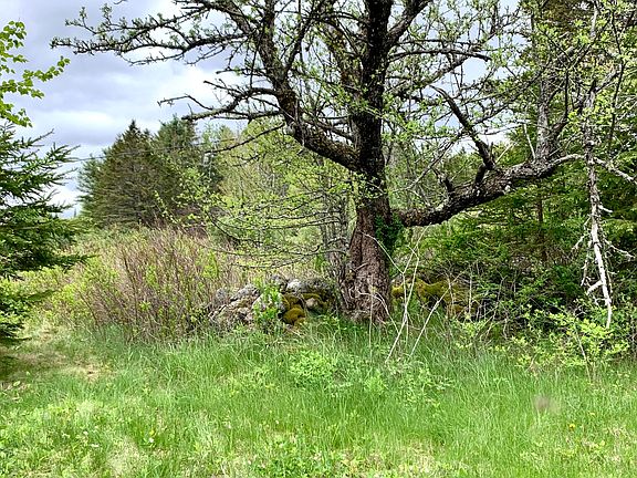 8th image of this home