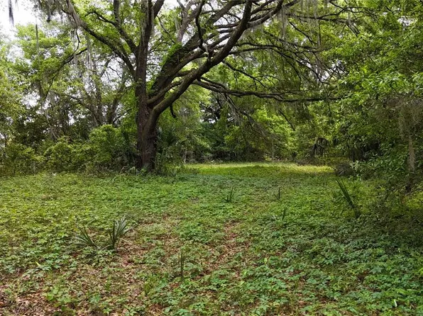 2AC NE 231st St, Fort Mc Coy, FL 32134
