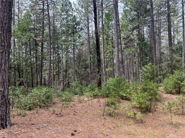 0 Scotty Ln, Forest Ranch, CA 95942