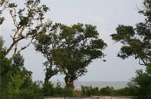 2nd image of 1102 E Beach Blvd
