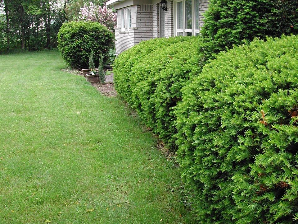 Front from parking area