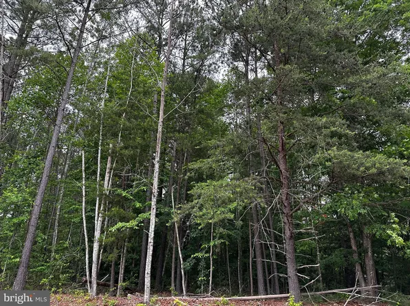 LOT N1 Eastham Rd, Bumpass, VA 23024