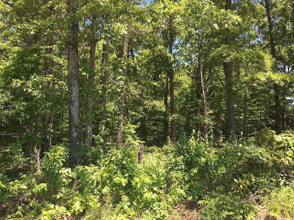 1st image of 0 Highway 48 S Lot 1