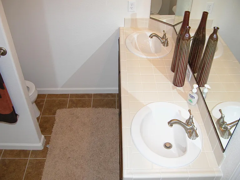 Master Bath sink area