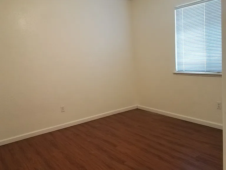 Pacific Pines — Photo 16