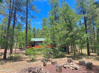 2759 Dairy Springs Rd, Mormon Lake, AZ 86038