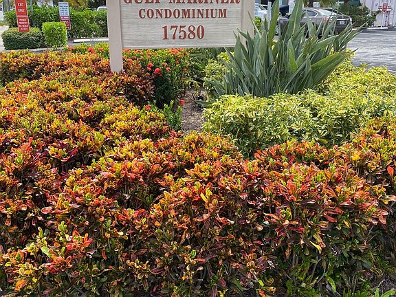 3rd image of 17580 Gulf Blvd APT 412