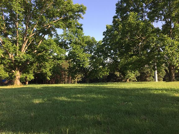 6 mature pecan trees
