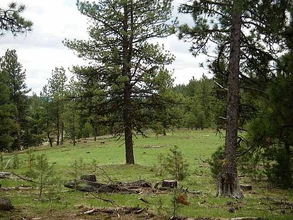 4th image of LOT 26 Old Highway 95