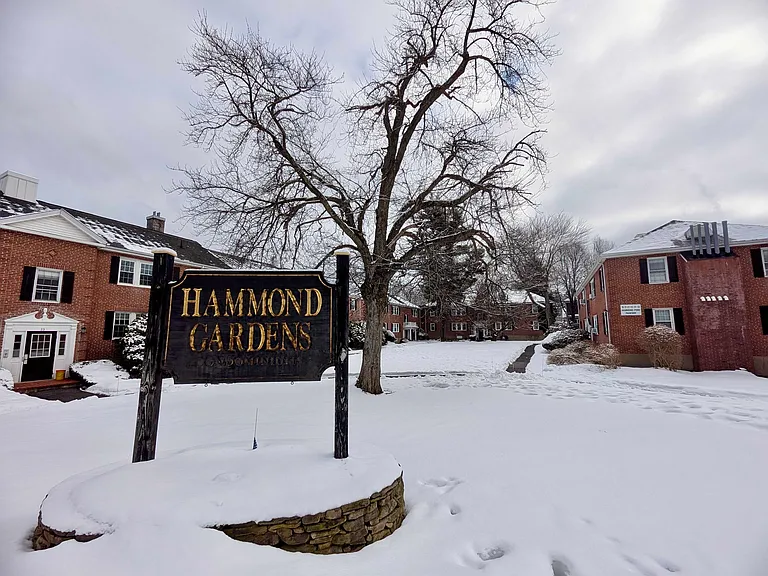 17 Hammond Pond Pkwy #4 — Photo 8