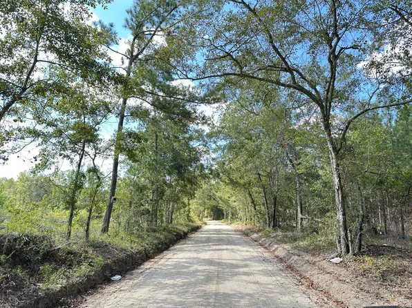 0 Paddock Rd, Manning, SC 29102