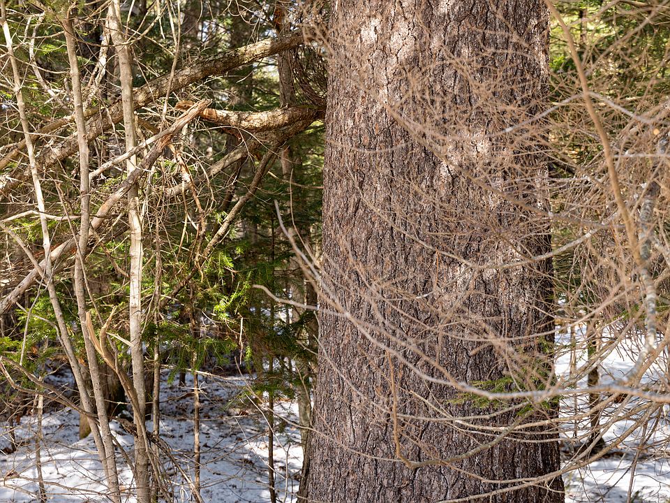 1st image of R7L14A Route 157 Route