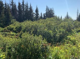 58995 Ohlson Mountain Rd, Homer, AK 99603