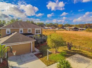 17002 Odessa Dr, Land O Lakes, FL 34638