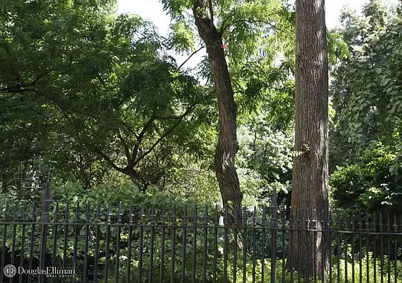 Rented by Douglas Elliman | media 28