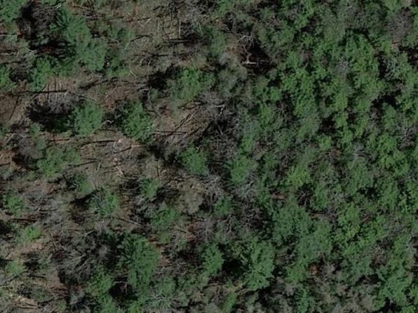 0 N Pioneer Rd, Honor, MI 49640