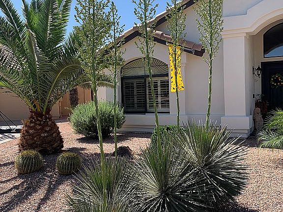 5th image of 3523 W Jasper Dr