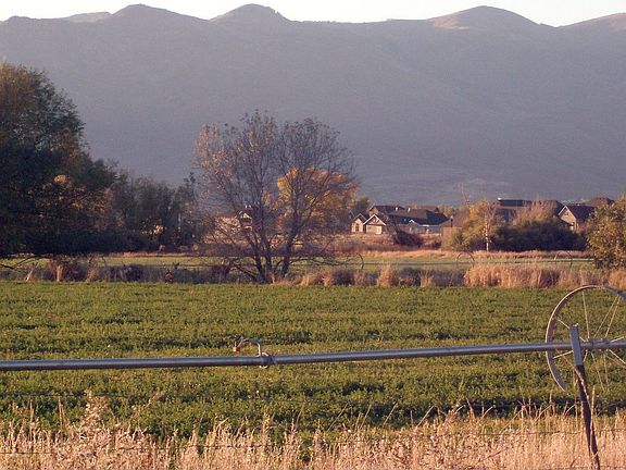 Front Yard View In Fall