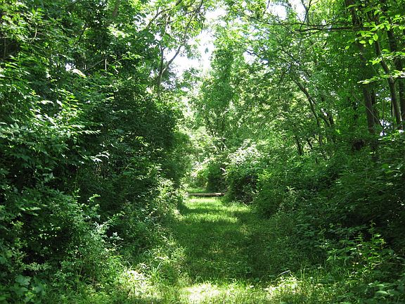 Direct U9Bridle Trail Access