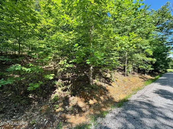 626 N Pointe Trl Lot 68, Allons, TN 38541
