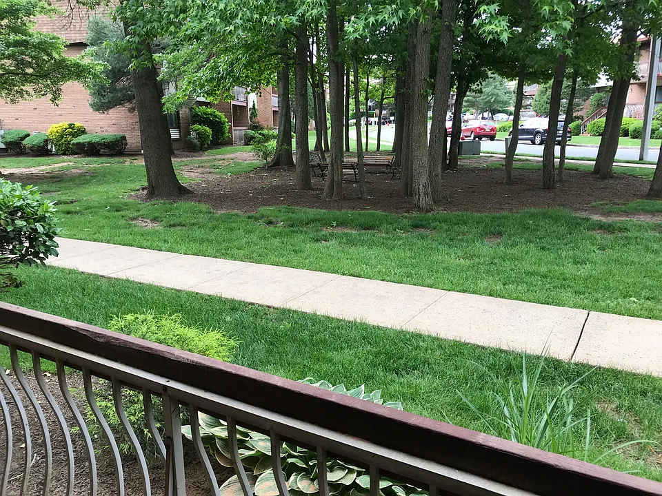 View from Family Room Balcony